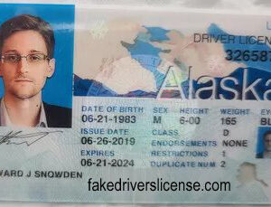 ALASKA FAKE ID-ALASKA FAKE DRIVING LICENSE